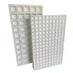 EPS foam seedling tray customized for vegetable, fruit, flower and tobacco seedlings.