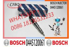 China Diesel fuel injector Common rail Injector 0445120061 Diesel engine parts 0445120061 supplier