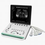 15 inch Cheap Hotsell SS-7 Vet Ultrasound Portable Machine Equipment High Image for sale