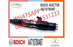 China Diesel Fuel Injector A4710700487 0445120271 For Mercedes Actros MP4 supplier