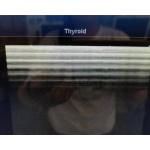 Linear Array Ultrasound Transducer Probe Toshiba PLT-704SBT 11L4 For Hospital