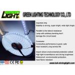 Silicone 12w Ip68 SMD5050 Flexible Led Light Strips