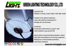China Silicone 12w Ip68 SMD5050 Flexible Led Light Strips supplier