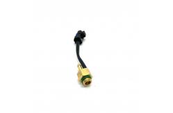 China LN-GTS Bronze CNG LPG Automotive Gas Temperature Sensor supplier