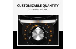China ODM OEM Home Elec Coffee Maker Coarse And Fine Powder Professional Espresso Machine supplier