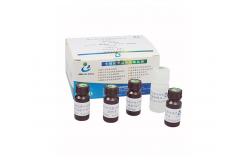 China BRED-029 SCSA Sperm DNA Fragmentation Test Kit Flow Cytometry Method supplier