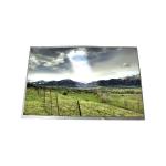 15.4 inch 1280*800 B154EW04 V1 lcd screen display for sale