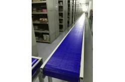 China                  Customized Chain Conveyor Line              supplier