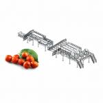 Industrial Pomegranate Juice Production Line 2 - 50T/H Pomegranate Juice Making Equipment for sale