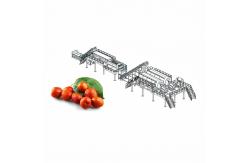 China 50T/H Jujube Hawthorn Processing Line Food Application supplier