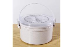 China Childrens Recycled Plastic Lunch Boxes With Handle Spoon Fork supplier