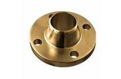 China High Pressure Rating 2500 Copper Nickel Flange with Anti-rust Paint Coated Coating supplier