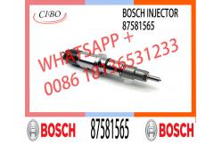 China Common Rail Diesel Fuel Injector 0445120035 0445120272 3965720 3973059 5263305 87581565 supplier