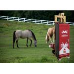 Wood 3d Win10 Vertical Wall Painting Machine Bi - Directional for sale