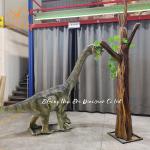 Small Brachiosaurus Dinosaur Model for Mall Decoration and  Jurassic Park for sale