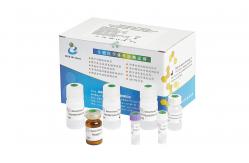 China Human Seminal Fructose Test Kit / Fructose Assay Kit Enzymatic Method Test CE Approved supplier
