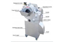 China 800-1000KG/H Vegetable Fruit Dicing Machine Commercial Carrot Cutter supplier