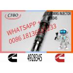 Q19 diesel engine common rail injector 4087888 4087889 4928348 4010025 4928345 4928346