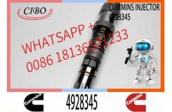 China Q19 diesel engine common rail injector 4087888 4087889 4928348 4010025 4928345 4928346 supplier