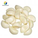 2.2KW Garlic Peeling Machine Industrial Factory Food Processor