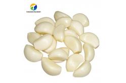 China 2.2KW Garlic Peeling Machine Industrial Factory Food Processor supplier