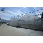 Multi Span Greenhouse Solar Energy Systems For Sustainable Ecofriendly Farming