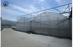 China Multi Span Greenhouse Solar Energy Systems For Sustainable Ecofriendly Farming supplier
