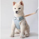 Soft No Pull Adjustable Breathable Mesh Leash And Cat Chest Harness For Puppy for sale