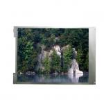 8.4 Inch 800*600 45 Pins LCD Screen Display Panel Without Touch Screen for sale