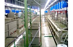 China OEM Service PP Single Tank Metal Plating Machine For Silver supplier