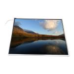 LTM15C503 15.0 inch 1024*768 TFT LCD Screen Display for sale