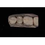 Strength Emax Ceramic Veneers Crown With Excellent Stain Resistance / Biocompatibility for sale