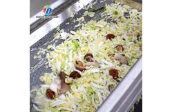 China 7kw Double Vortex Vegetable And Fruit Cleaning Machine supplier