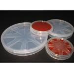 2 Inch Gallium Phosphide Crystal Substrate GaP Wafer 0.3 Thickness Lapped Surface