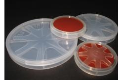 China 2 Inch Gallium Phosphide Crystal Substrate GaP Wafer 0.3 Thickness Lapped Surface supplier