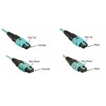 OM3/OM4 MPO Connector Patch Cord 12 Fiber MPO Trunk Cable 8/12/24F MTP MPO Cable for sale