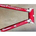 Lightweight Bicycle Frame Decals For Decoration OEM / ODM Available