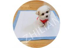 China Multipurpose Pet Training Pad Machine 170 m/min  300 m/min supplier