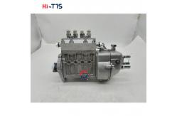 China 495A 504 diesel pump for tractors produced in Shanghai, Jiangsu supplier