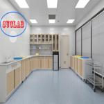 CUsomized Made Hospital Furniture Medical Disposal Cabinets Cost with Adjustable Shelves for sale