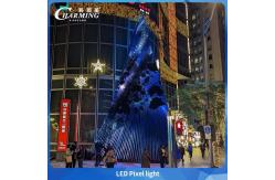 China RGB IP65 Outdoor Waterproof Christmas Tree Led Pixel Light SMD3535 Facade Lighting supplier