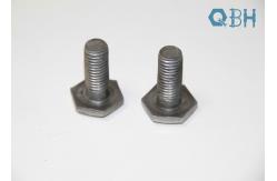 China Cold Forming Non Standard Fasteners supplier