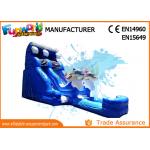 Attractive Blue Cartoon Outdoor Inflatable Water Slides For Kids and Adults for sale