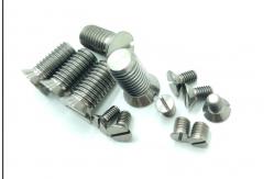 China Titanium Fasteners Gr1 Gr2 Gr5 Bolts And Nuts Screws For Industrial supplier