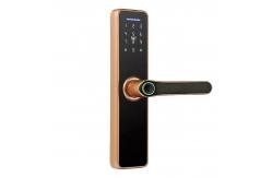 China Rosh Ttlock Tuya App Smart Electronic Lock Wifi Password Lock supplier