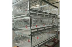 China 3-9 Floor Farm Battery Chicken Cage With Automatic System supplier