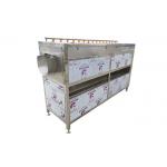 Large Capacity Cactus Fruit Brush 2TPH Vegetable Washing Machine for sale