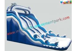 China Giant Dolphin Outdoor Inflatable Water Slides , Three Line Inflatable Water Slide Pool supplier
