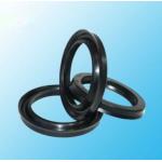 Customized Double Lips FKM Silicone Rubber Lip Seal