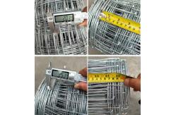 China 1.5M Galvanized Cattle Panels , Metal Livestock Panels For Farm supplier